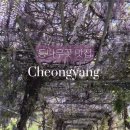 등나무1,2,3.길 이미지