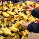 오렌지할인마트 이미지