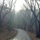 팔복사