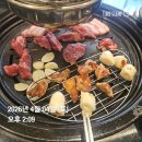 뚱뚜루 | [성남 나들이20260414] 야탑역 고기 맛집과 더불어 벚꽃나들이