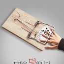 크리커뮤니케이션 - 세종특별자치시 | 크리커뮤니케이션