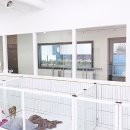 링크애견샵 이미지