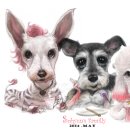 예쁜강아지 이미지