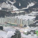 성우민박 이미지