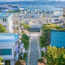 동백꽃필무렵 - 서귀포시 | 동백꽃필무렵