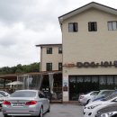 도그스101 이미지