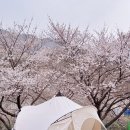알프스펜션 네이버블로그