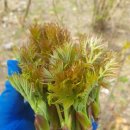 돌다리 농장 이미지