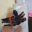 월드베스트 태권도장 이미지