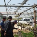 송림1리 이미지