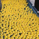 오리떼 편의점 이미지