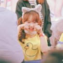 싸이트 이미지
