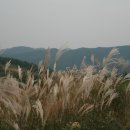 천북목장 이미지