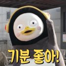 윌로뜨 티스토리
