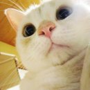 동덕세탁 이미지