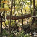 방장산자연휴양림 이미지