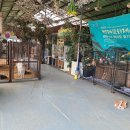 체험농장 민박 이미지