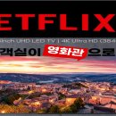 반달로128번길 이미지