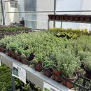 대림가든 이미지