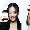 엠에스건 이미지