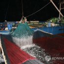대형선망수산업협동조합