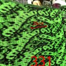 그린폴리 이미지