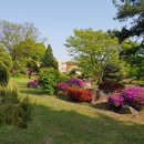 여주제일고등학교 이미지