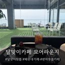 달맞이 | 해운대달맞이카페 모어라운지 | 오륙도·대마도뷰에 반려동물도 OK ! 달맞이 핫플 솔직 후기
