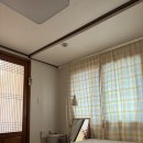 우리들의월정리 이미지