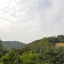 라임오렌지 이미지