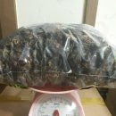 노니카페 이미지