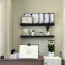 미용하는 강아지 이미지