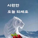 8월8일 목요일 출석글 이미지