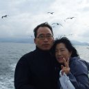 한상모동물병원 Daum카페