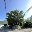 산내남명초등학교 | [영남알프스 8봉] 운문산-&gt;가지산 연계 산행 (주차정보,화장실, 가지산장, 산장카페, 연계산행 비추ㅠㅠ)