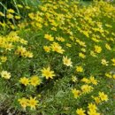 진주시립연암도서관 이미지