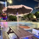 피스코이나즈카(Piscoynazca) 네이버블로그