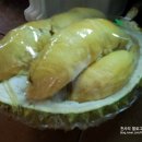 블럭천사