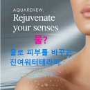 있으면 여름철 피부문제 안심해도 됩니다. 여름철 피부고민 하양이 파랑이 후기 모음/아픈피부 다오세요!!