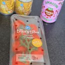 비니미니(BINI MINI) | 26/04/25 암스테르담 일상 🇳🇱 Bini Bakery 비니 베이커리, Burger Business 버거 비즈니스