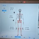 퀄핏 건강운동센터 | [무브먼트운동건강관리센터] 서초PT 후기 | 걷기자세교정부터 체형분석까지