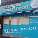 리드브레드 창동점