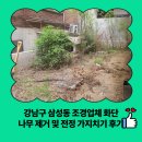 강남구 삼성동 조경업체 화단 나무 제거 및 전정 가지치기 후기