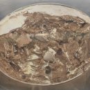 우주라이크앤커피 | [화성/새솔동] 베스킨라빈스 / 신상 메뉴 / 우주라이크 봉봉 / 후기