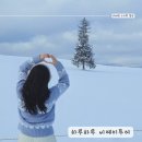 (주)쿠폰트리투어 | 삿포로 비에이 후라노 버스투어 하루하루투어 /준페이예약가능