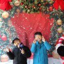 둥이목장 이미지