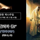 연중 제13주일(24.06.30) PPT강론 이미지