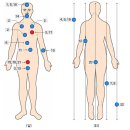 보험으로 보장받을 수 있는 범위는 어디까지? 이미지