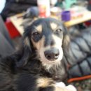 안성슈퍼 이미지