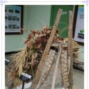 농업기술센터(농업전시관) 이미지